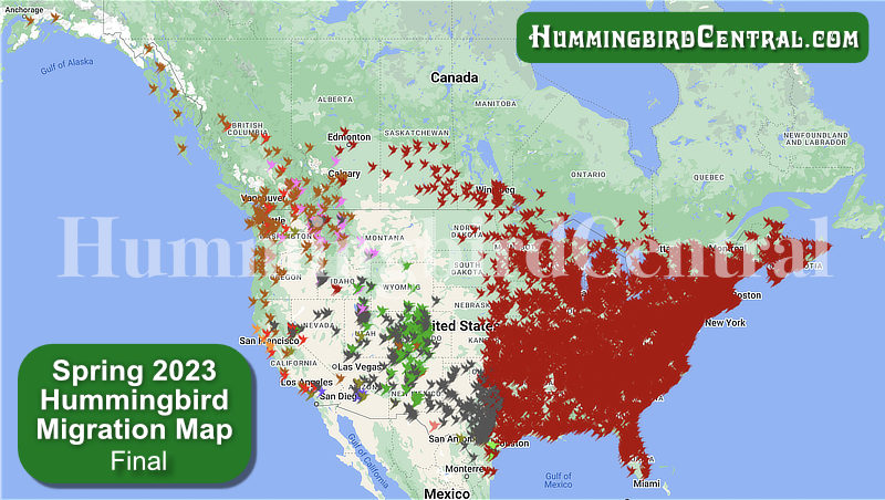 Hummingbird Migration Map 2023